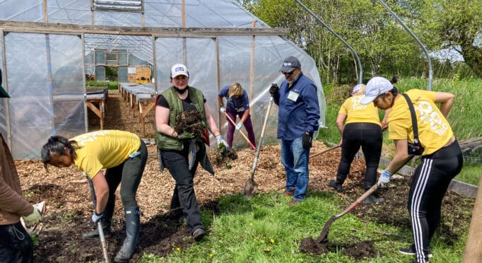 Volunteers use shovels to dig weeds on the 21 Acres farm.