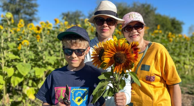 Sebastian, Katerina and Valentina show off the flowers they picked in the 21 Acres U-Pick sunflower field.
