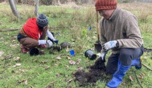 Volunteers plant trees at 21 Acres