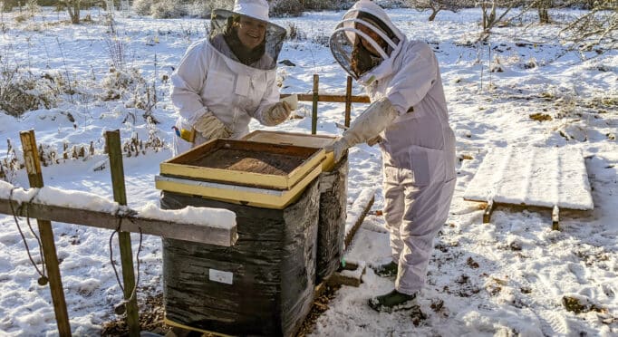 Beekeeping on a snowy winter day at 21 Acres