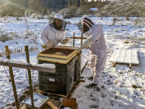 21 Acres beekeepers work year round to care for the four apiaries on the farm, even on cold snowy days.