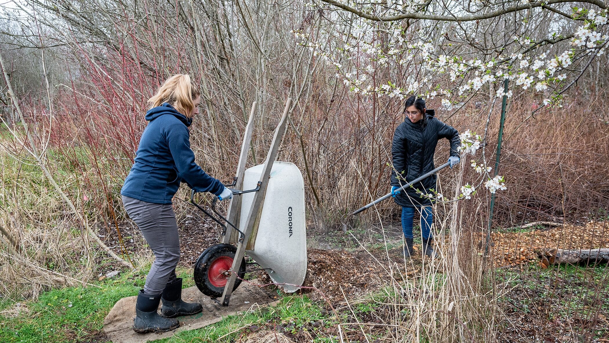 Volunteers spread mulch on a wetland path on the 21 Acres farm.