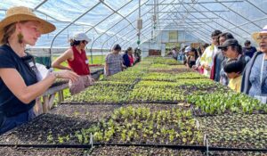 Visitors learn about seedlings growing in a greenhouse during a 21 Acres Farm Tour.