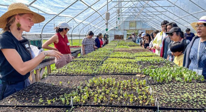 Visitors learn about seedlings growing in a greenhouse during a 21 Acres Farm Tour.