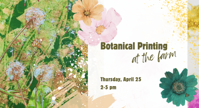 Artwork for Becca Jordan's Botanical Printing event, 2024.