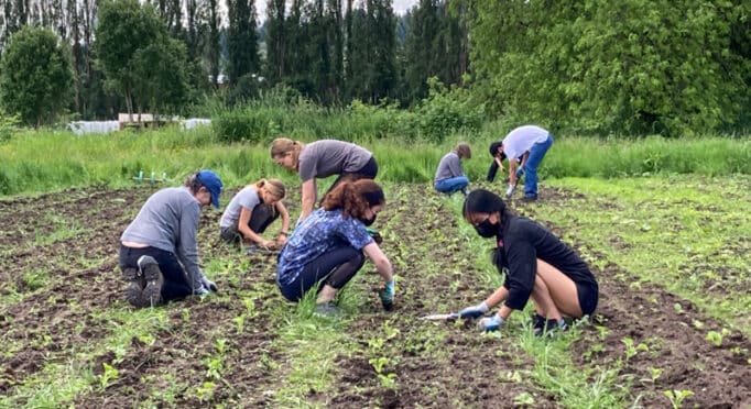 Volunteers work in a field during a Farm Steward work party at 21 Acres.