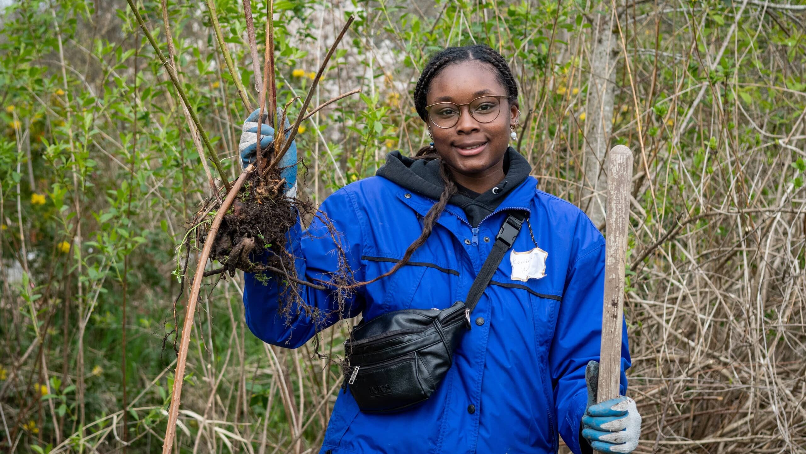 A 21 Acres volunteer with the giant blackberry root that she dug up