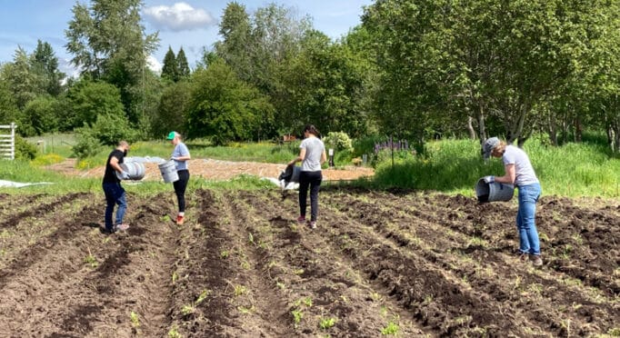 Volunteers work in a field during a Farm Steward work party at 21 Acres.