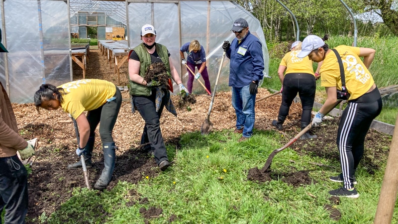 Volunteer Farm Stewards working on the 21 Acres farm.