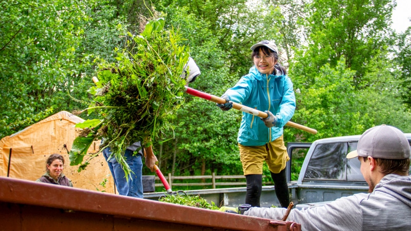 Volunteer Farm Stewards working on the 21 Acres farm.