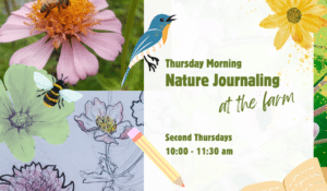 Promotional artwork for Becca Jordan's Nature Journaling workshop at 21 Acres.