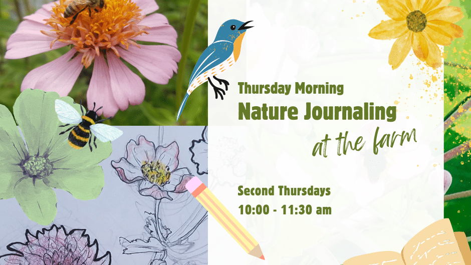 Promotional artwork for Becca Jordan's Nature Journaling workshop at 21 Acres.