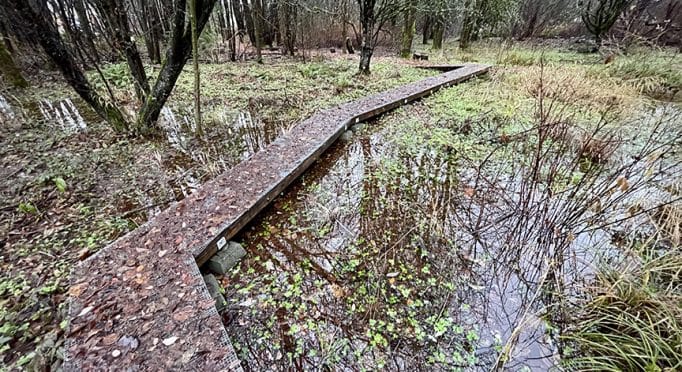 The 21 Acres north wetland is flooded after heavy winter rain.