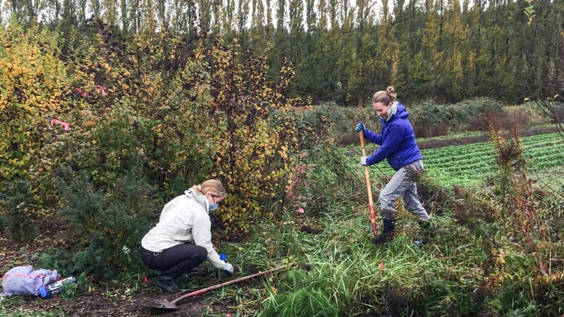 Farm Steward volunteers work on the 21 Acres farm.