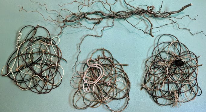 Examples of willow art made with Erin Cox's "wild weave" technique.