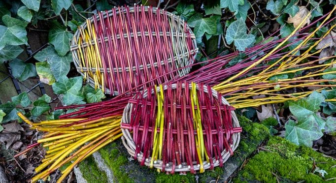 Examples of Erin Cox's Catalan trays woven with willow and dogwood.