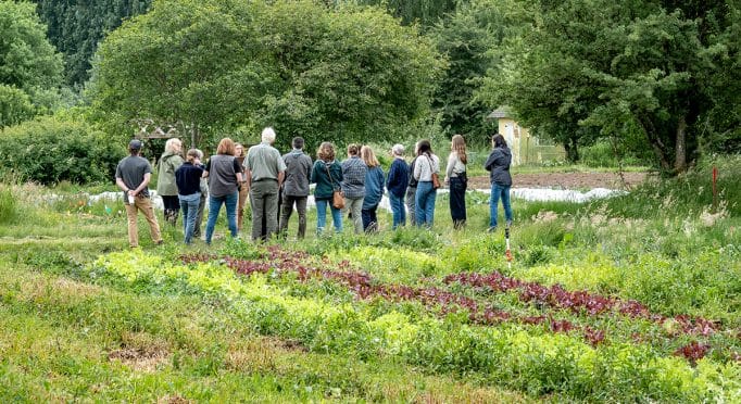 Image of a group of people in a field listening to a 21 Acres farm tour, July 2023.