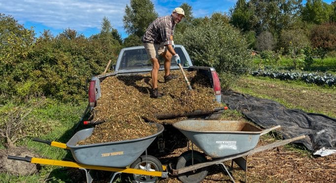 A volunteer shovels mulch on the 21 Acres farm.