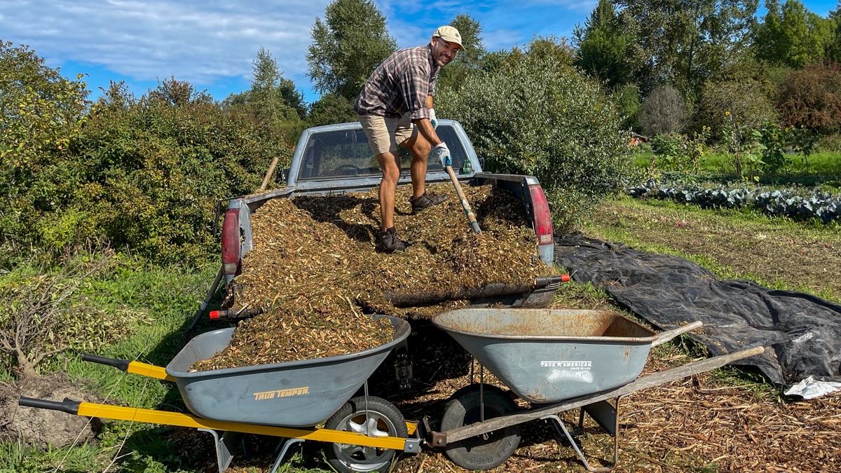 A volunteer shovels mulch on the 21 Acres farm.