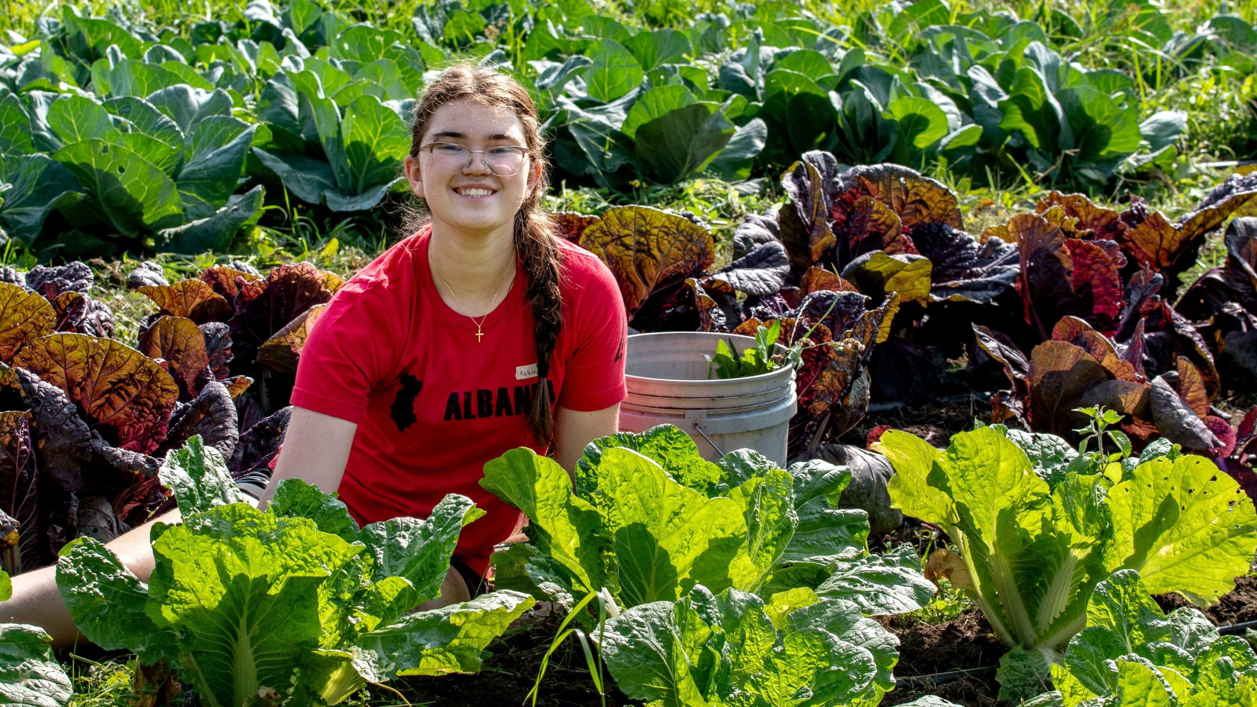 A volunteers working in the cabbage field on the 21 Acres farm.