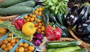 A display of colorful summer vegetables in the 21 Acres Farm Market.