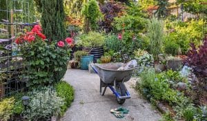 Christopher Cox's Willows End garden in Seattle