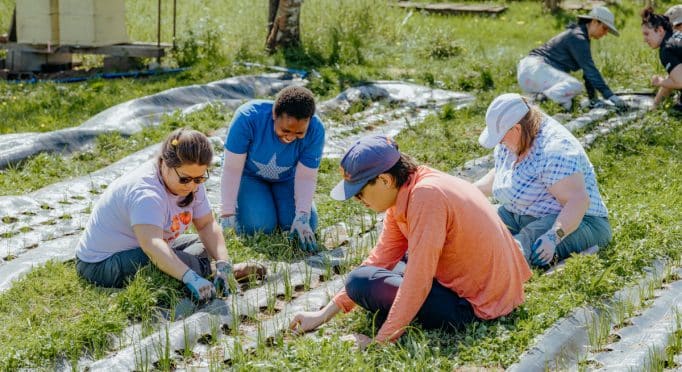 Volunteers plant scallions on the 21 Acres farm.